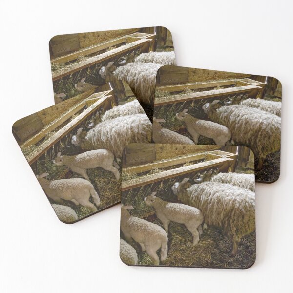 Item preview, Sheep at Riverdale Farm 1 designed and sold by jrtwynam.