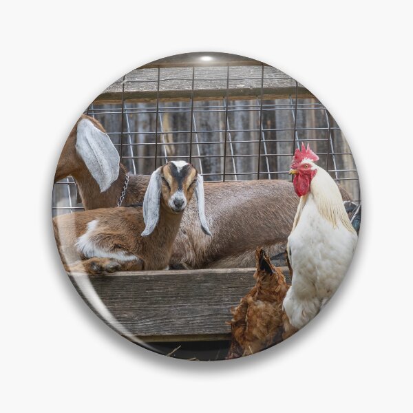 Item preview, Charming Farm Animals at Riverdale Farm designed and sold by jrtwynam.