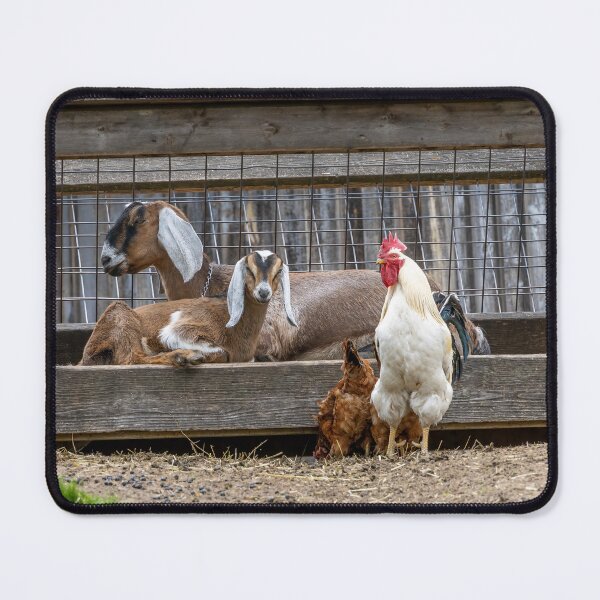 Item preview, Charming Farm Animals at Riverdale Farm designed and sold by jrtwynam.