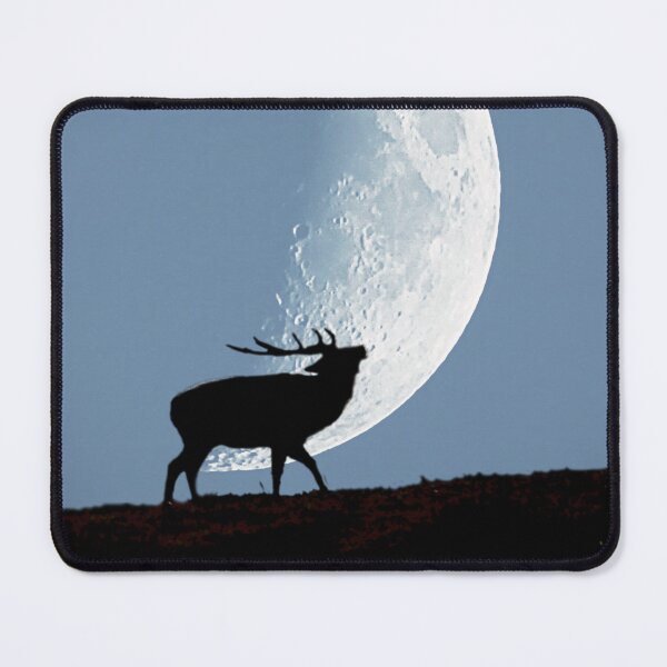 Item preview, stag night designed and sold by Murph's Images.