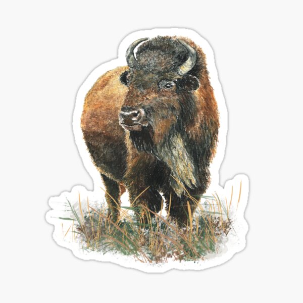 Item preview, Watercolor Bison Buffalo Animal art designed and sold by countrymouse.