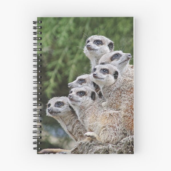 Item preview, Many Meerkats designed and sold by Murph's Images.