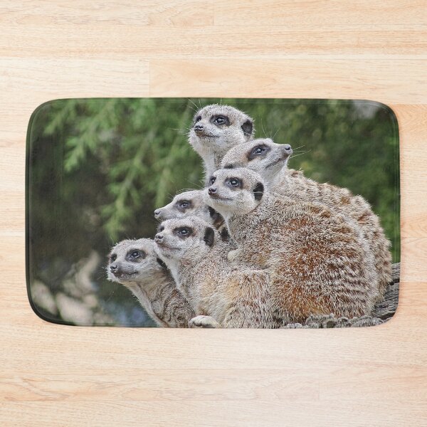 Item preview, Many Meerkats designed and sold by Murph's Images.