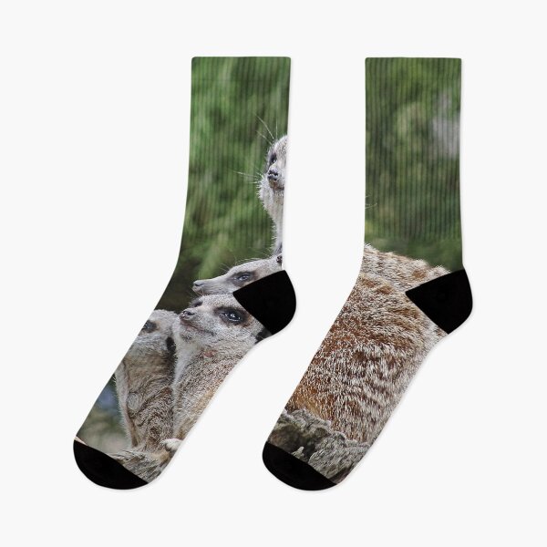 Item preview, Many Meerkats designed and sold by Murph's Images.