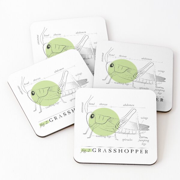 Item preview, Fig. 2 Anatomy of a Grasshopper designed and sold by MudAndMarrow.