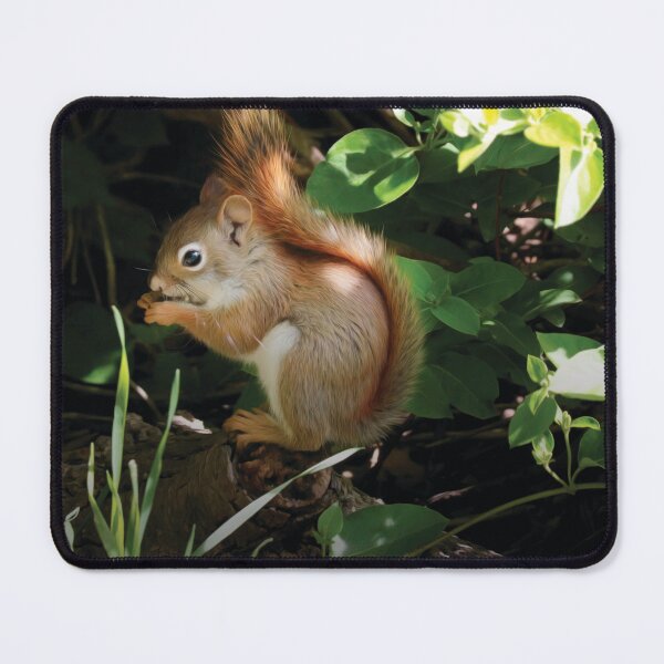 Item preview, Quiet Time designed and sold by Anita Oakley.