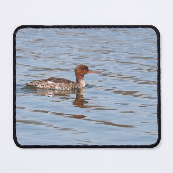 Item preview, Red-Breasted Merganser designed and sold by Anita Oakley.