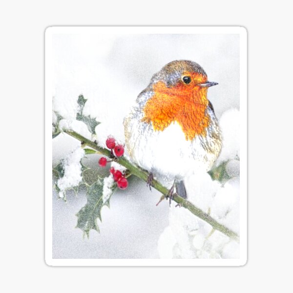Item preview, European English Robin Bird Winter designed and sold by countrymouse.