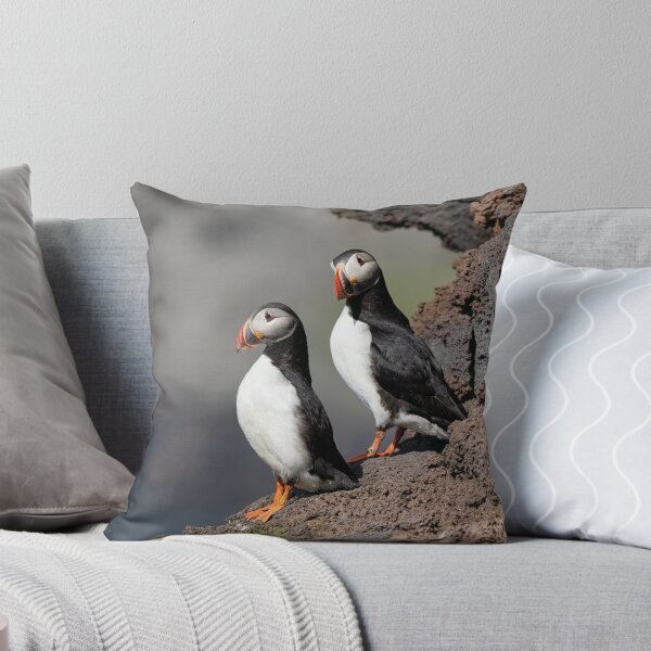 Item preview, Atlantic Puffins on Lava Rocks – Iceland Wildlife Photography designed and sold by Kristvin Gudmundsson.