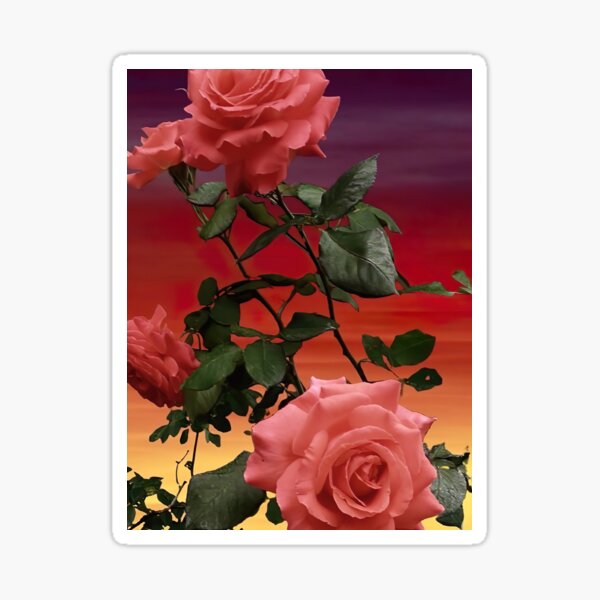 Item preview, Red roses  designed and sold by Fred  Terpe.