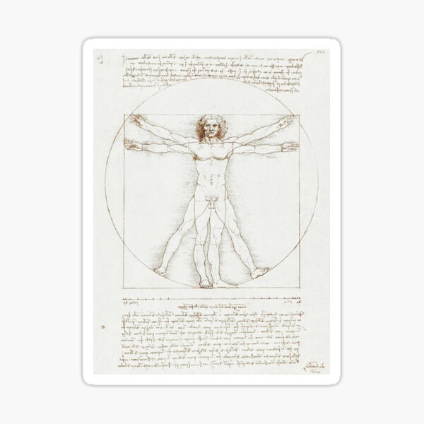 Aperçu de l'œuvre Homme de Vitruve, illustration créée et vendue par LandreyDesigns.