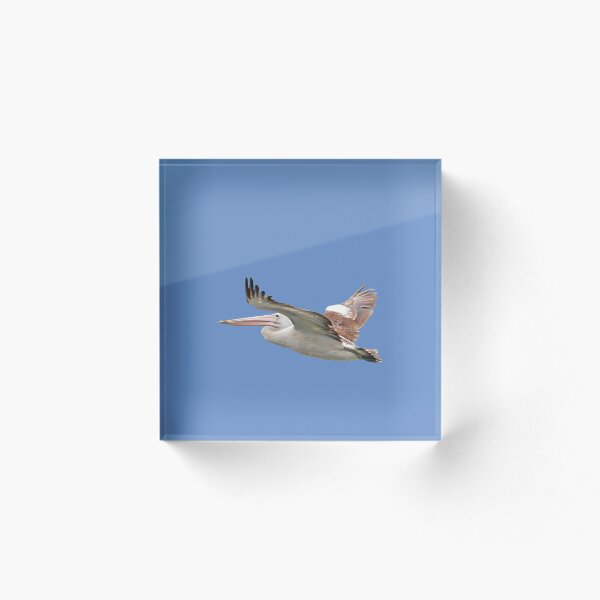 Item preview, Pelícanos australianos en vuelo designed and sold by STHogan2.