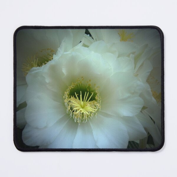 Item preview, An Explosion in White designed and sold by Larry Davis.