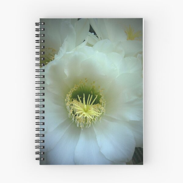Item preview, An Explosion in White designed and sold by Larry Davis.