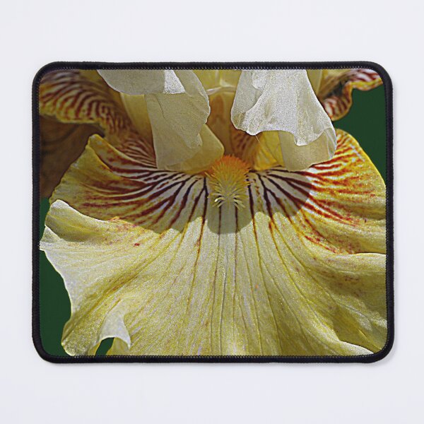 Item preview, Flying a Flag - In Close-up  ( 2 ) designed and sold by Larry Davis.