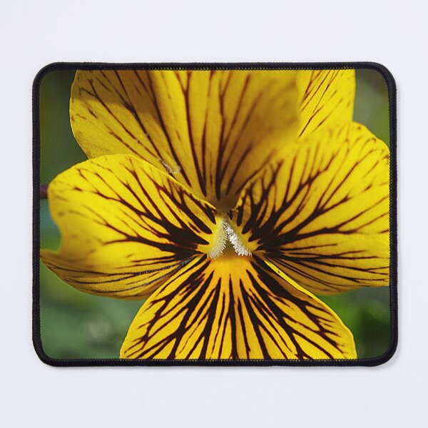 Item preview, A Viola Feeling designed and sold by Larry Davis.