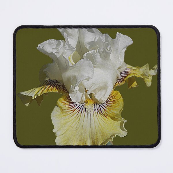 Item preview, A Bearded Iris Flying High ( 1 ) designed and sold by Larry Davis.
