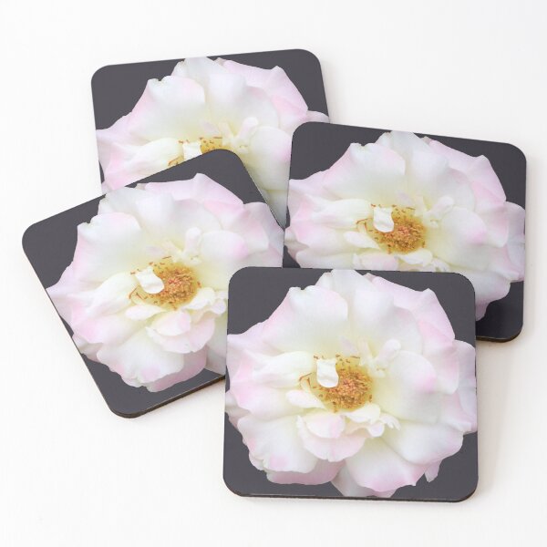Item preview, Multi Coloured White Rose designed and sold by STHogan2.