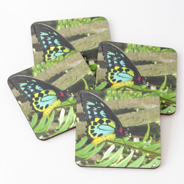 Item preview, Cairns Birdwing Butterfly designed and sold by Kymbo.