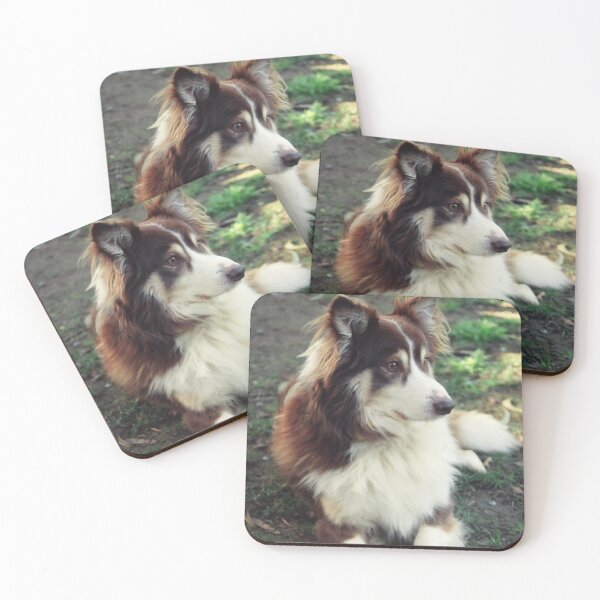 Item preview, Loyal Pet! designed and sold by Kymbo.