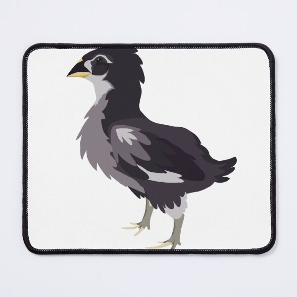 Item preview, John Adams the Australorp Chick designed and sold by starryzard.