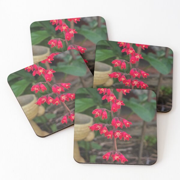 Item preview, Coral Bells designed and sold by Betsy Phillips.