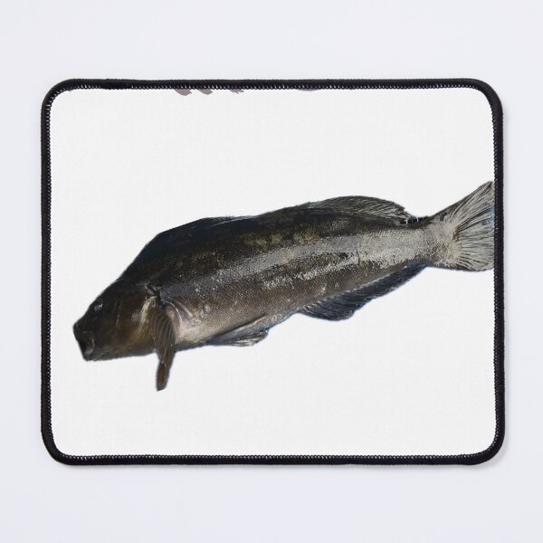 Item preview, 011 アイナメ（Greenling / Ainame） designed and sold by taichi69nz.