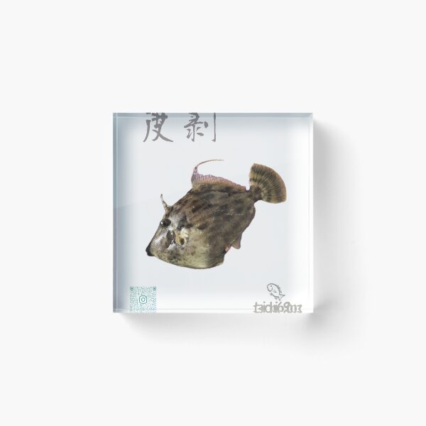 Item preview, 012 カワハギ（Thread-sail Filefish / Leatherjacket / Kawahagi） designed and sold by taichi69nz.