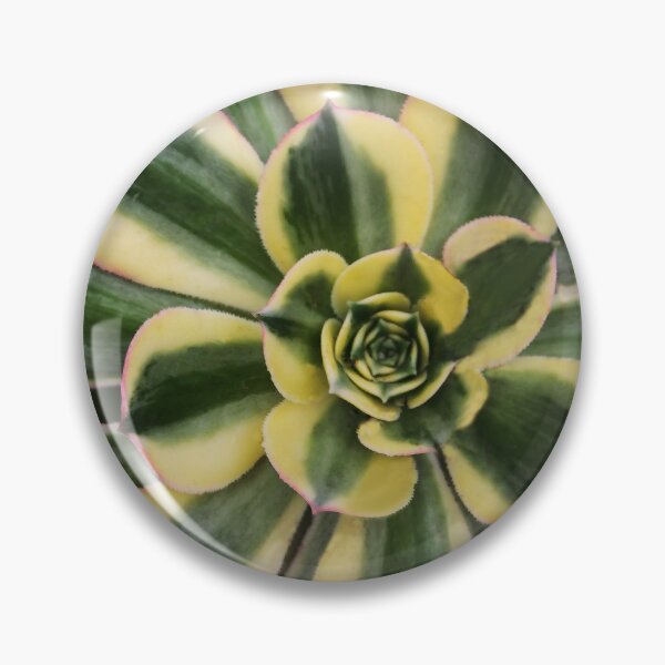Item preview, Nature's Echeveria designed and sold by heatherfriedman.