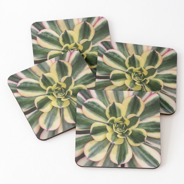 Item preview, Nature's Echeveria designed and sold by heatherfriedman.