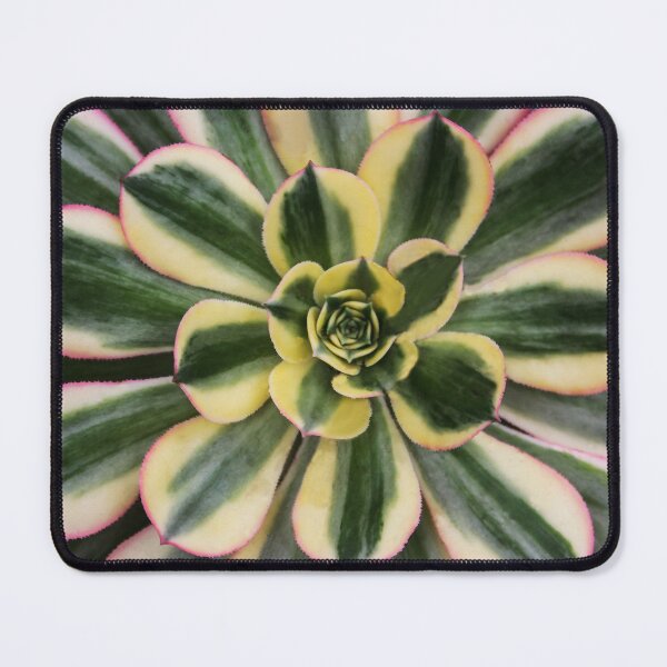 Item preview, Nature's Echeveria designed and sold by heatherfriedman.