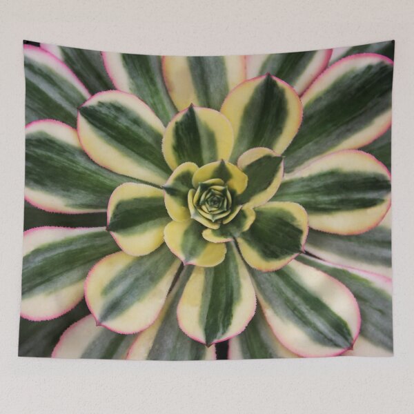 Item preview, Nature's Echeveria designed and sold by heatherfriedman.
