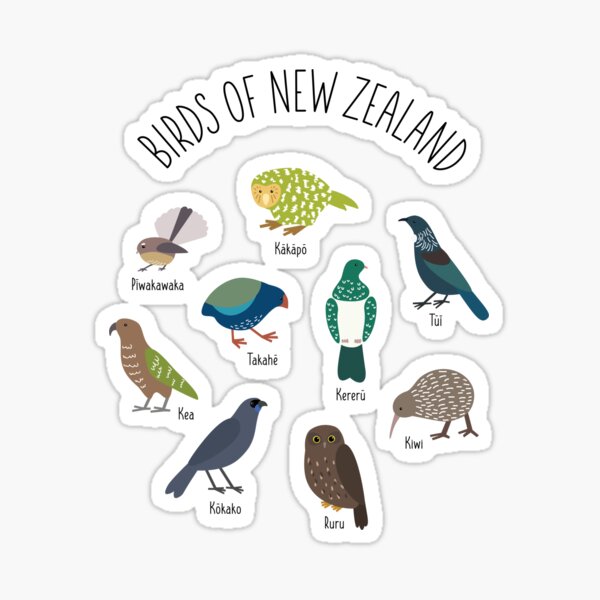 Item preview, Birds Of New Zealand - Kiwi, Kakapo, Tui, Fantail, Kaka, Kea designed and sold by Rebeccatiana.nz.