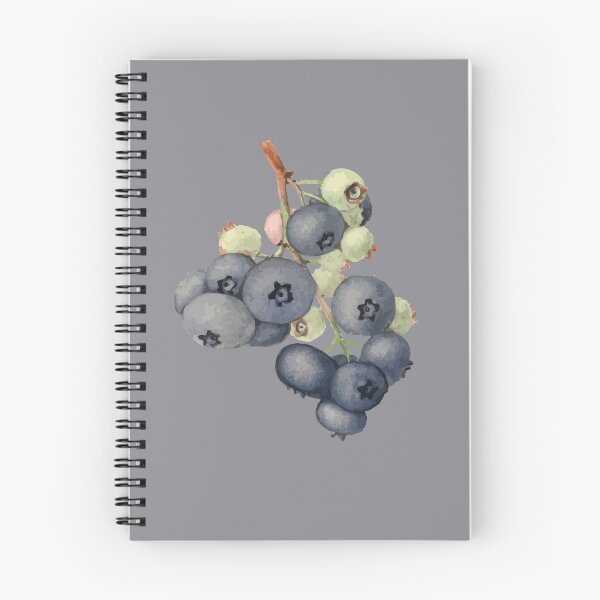 Item preview, Blueberry Berries Pomological Botanical Vector Illustration designed and sold by taiche.
