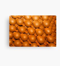 Surahi - The Water Pot Canvas Print