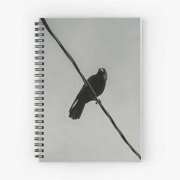 Item preview, Crow on a Wire designed and sold by geminiinthesky.