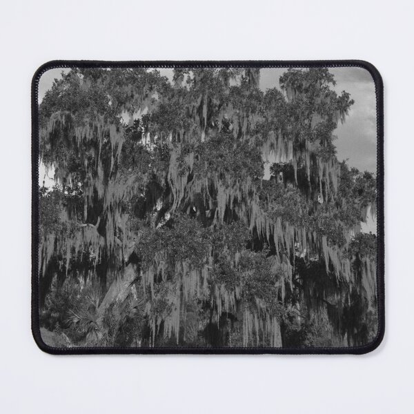 Item preview, Huge Live Oak Tree Black And White designed and sold by MercerImages.