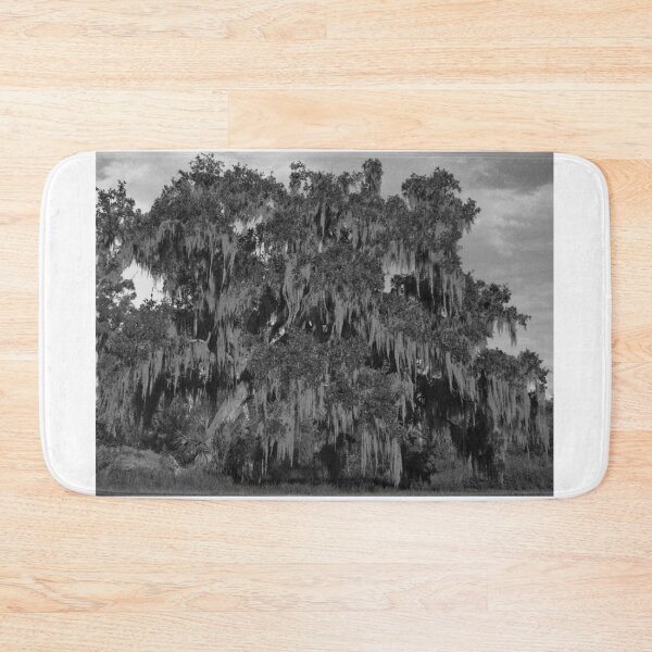Item preview, Huge Live Oak Tree Black And White designed and sold by MercerImages.