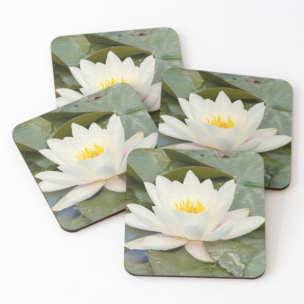 Item preview, White Water-lily - Nymphaea alba. designed and sold by Kate Anderson Art.