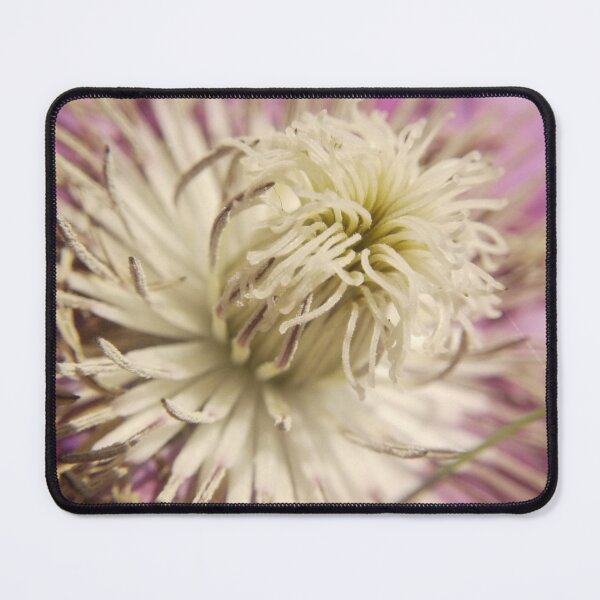 Item preview, Macro Purple Clematis designed and sold by DaniCosmicArt.