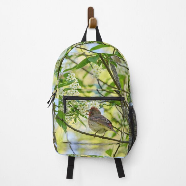 Item preview, A pose in the bird cherry. Scarlet rosefinch designed and sold by Jouko Lehto Photography.