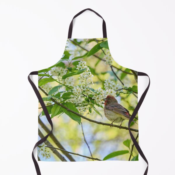 Item preview, A pose in the bird cherry. Scarlet rosefinch designed and sold by Jouko Lehto Photography.