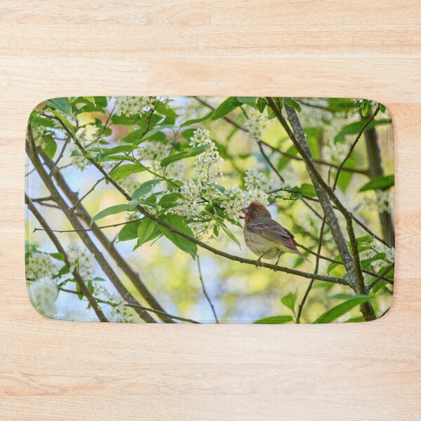 Item preview, A pose in the bird cherry. Scarlet rosefinch designed and sold by Jouko Lehto Photography.