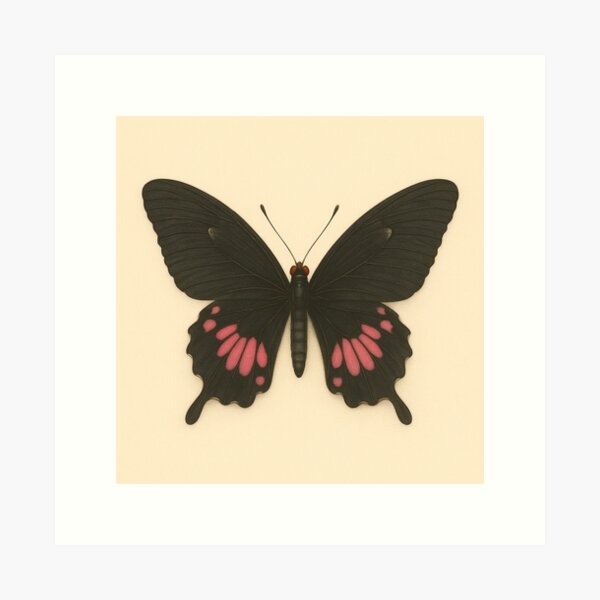 Item preview, Ruby-Spotted Swallowtail Butterfly Art Print designed and sold by Andrea Lauren.