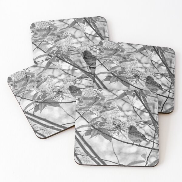 Item preview, A pose in the bird cherry. Scarlet rosefinch bw designed and sold by Jouko Lehto Photography.