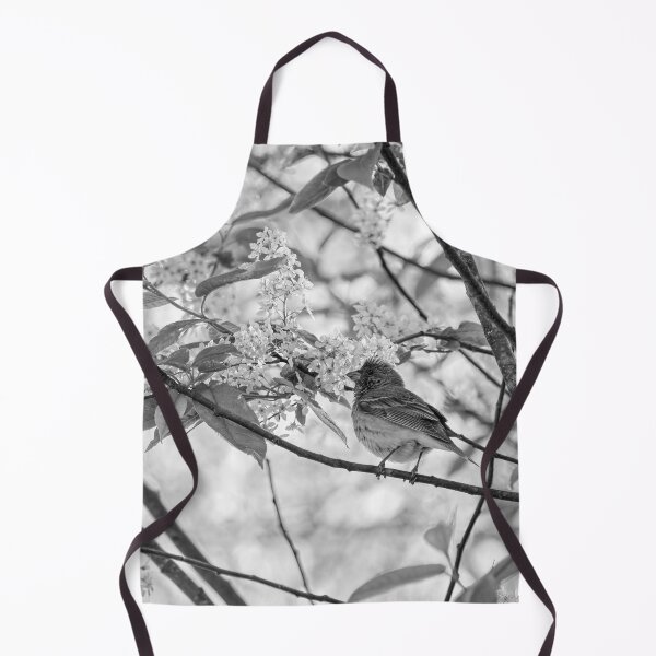 Item preview, A pose in the bird cherry. Scarlet rosefinch bw designed and sold by Jouko Lehto Photography.