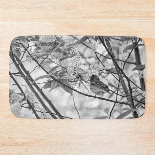 Item preview, A pose in the bird cherry. Scarlet rosefinch bw designed and sold by Jouko Lehto Photography.