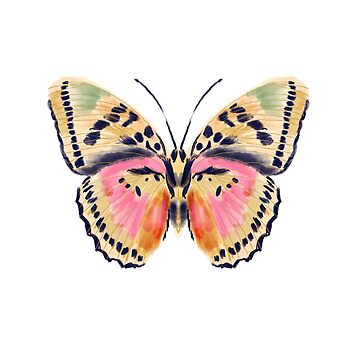Vorschaubild zum Design Gemalter Schmetterling, Schmetterlingsaufkleber, Schmetterlinge, Aquarellschmetterling, gelbe und rosa Schmetterlinge, Insektenkunst, Schmetterlingskunst, Andrea Lauren von Andrea Lauren