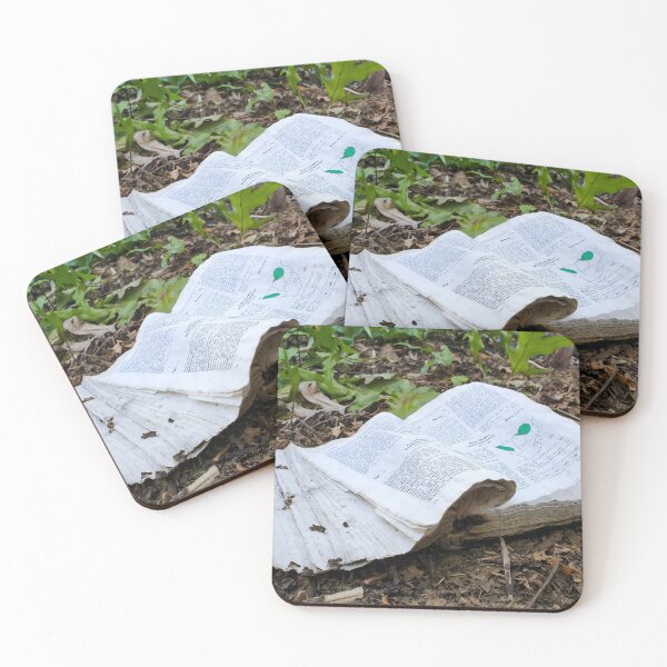 Item preview, Weathered Book Left Behind in Forest Floor designed and sold by Pixel Press Prints.
