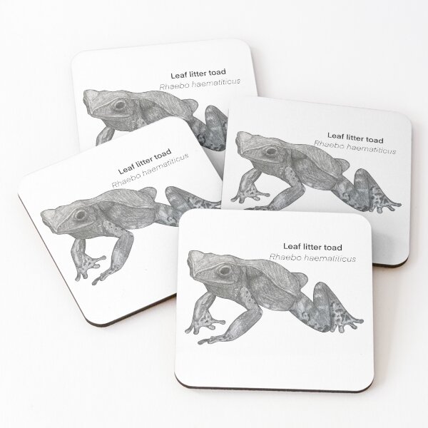 Item preview,  Leaf litter toad -Rhaebo haematiticus, with common and Latin name designed and sold by DoodleSnake58.
